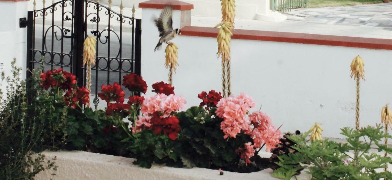 Ithaca Villa Larnaca Eksteriør billede