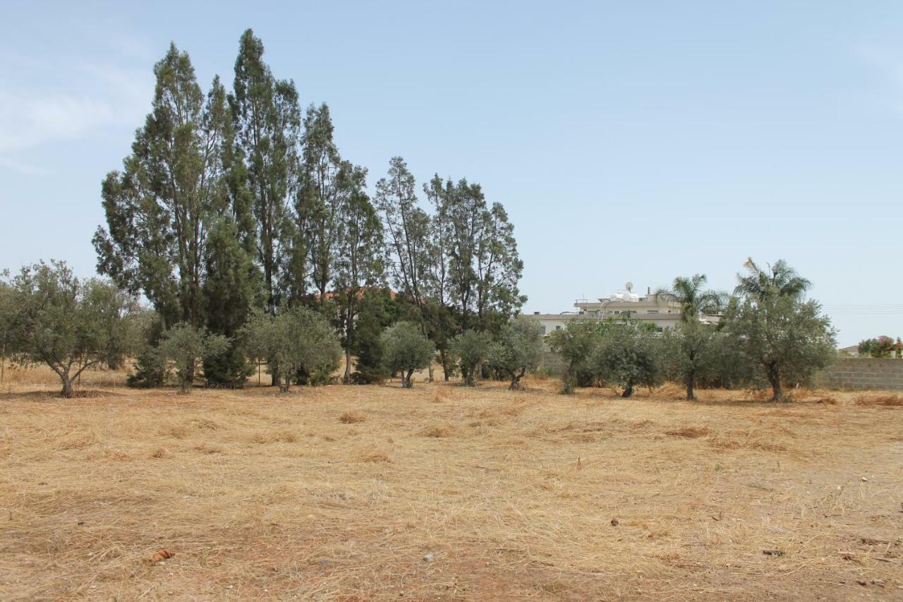 Ithaca Villa Larnaca Eksteriør billede